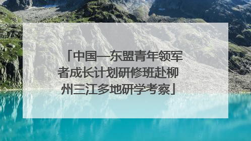 中国—东盟青年领军者成长计划研修班赴柳州三江多地研学考察