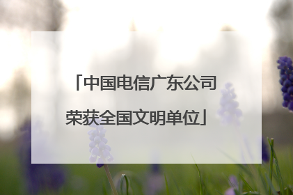 中国电信广东公司荣获全国文明单位