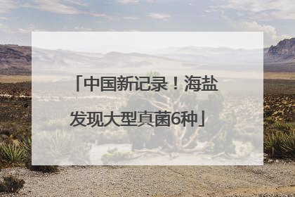 中国新记录！海盐发现大型真菌6种