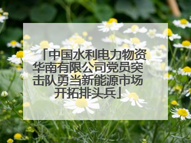 中国水利电力物资华南有限公司党员突击队勇当新能源市场开拓排头兵