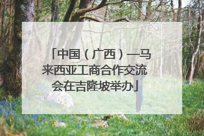 中国（广西）—马来西亚工商合作交流会在吉隆坡举办