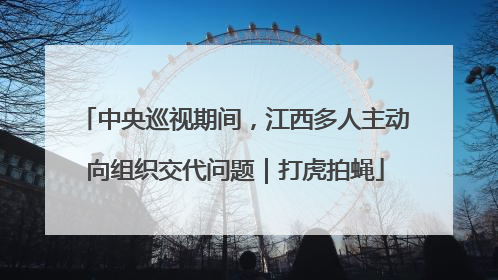 中央巡视期间，江西多人主动向组织交代问题｜打虎拍蝇