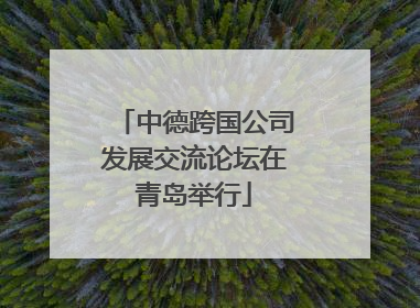中德跨国公司发展交流论坛在青岛举行