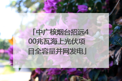 中广核烟台招远400兆瓦海上光伏项目全容量并网发电