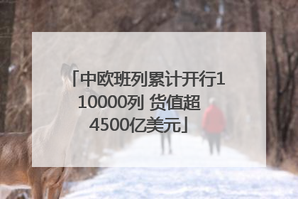 中欧班列累计开行110000列 货值超4500亿美元