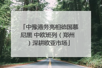 中豫港务亮相德国慕尼黑 中欧班列（郑州）深耕欧亚市场
