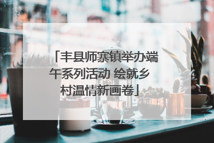 丰县师寨镇举办端午系列活动 绘就乡村温情新画卷