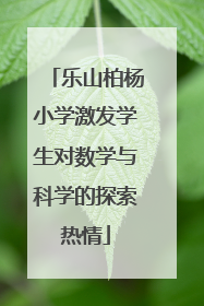 乐山柏杨小学激发学生对数学与科学的探索热情