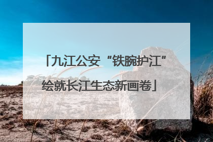 九江公安“铁腕护江”绘就长江生态新画卷