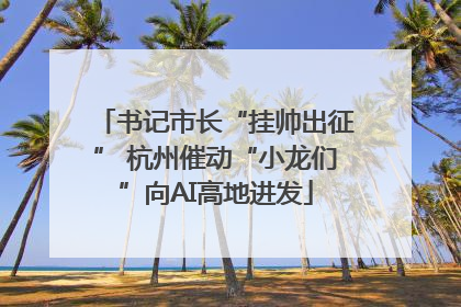 书记市长“挂帅出征” 杭州催动“小龙们”向AI高地进发