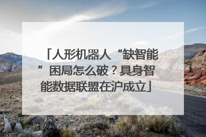 人形机器人“缺智能”困局怎么破？具身智能数据联盟在沪成立