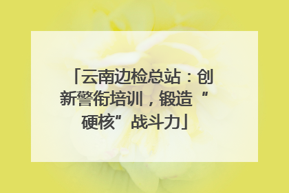 云南边检总站：创新警衔培训，锻造“硬核”战斗力