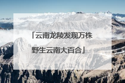 云南龙陵发现万株野生云南大百合