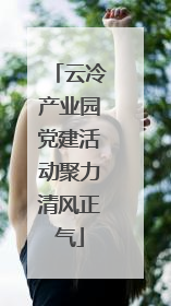 云冷产业园党建活动聚力清风正气