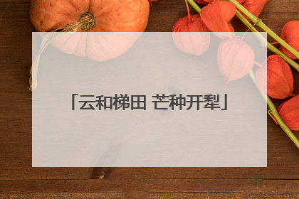 云和梯田 芒种开犁