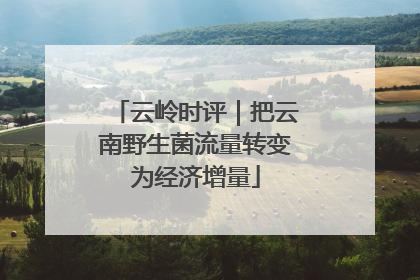 云岭时评｜把云南野生菌流量转变为经济增量