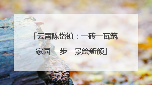 云霄陈岱镇：一砖一瓦筑家园 一步一景绘新颜