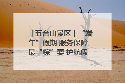 五台山景区｜“端午”假期 服务保障最“粽”要 护航假期“不打烊”