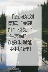 五河东刘集镇“党建红”引领“生态绿” 积分制赋能乡村治理