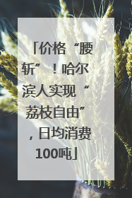 价格“腰斩”！哈尔滨人实现“荔枝自由”，日均消费100吨