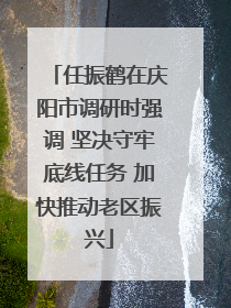 任振鹤在庆阳市调研时强调 坚决守牢底线任务 加快推动老区振兴