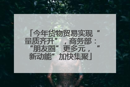 今年货物贸易实现“量质齐升”，商务部：“朋友圈”更多元，“新动能”加快集聚