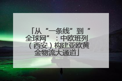 从“一条线”到“全球网”：中欧班列（西安）构建亚欧黄金物流大通道