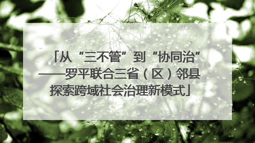从“三不管”到“协同治”——罗平联合三省（区）邻县探索跨域社会治理新模式