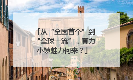 从“全国首个”到“全球一流”，算力小镇魅力何来？