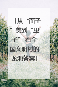 从“面子”美到“里子” 看全国文明村的龙池答案