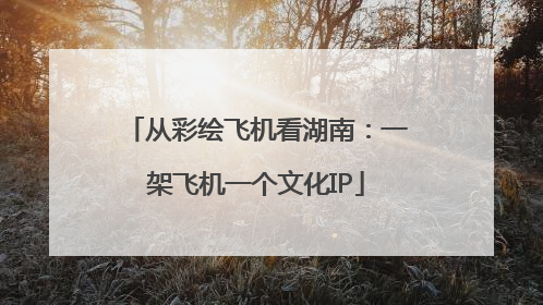 从彩绘飞机看湖南：一架飞机一个文化IP
