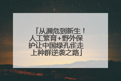 从濒危到新生！人工繁育+野外保护让中国绿孔雀走上种群逆袭之路