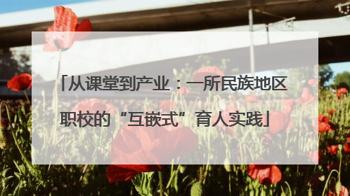 从课堂到产业：一所民族地区职校的“互嵌式”育人实践