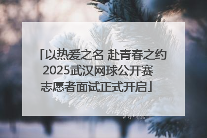 以热爱之名 赴青春之约 2025武汉网球公开赛志愿者面试正式开启