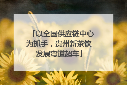 以全国供应链中心为抓手，贵州新茶饮发展弯道超车