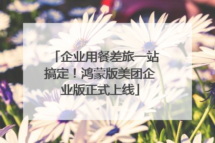 企业用餐差旅一站搞定！鸿蒙版美团企业版正式上线