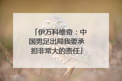 伊万科维奇：中国男足出局我要承担非常大的责任