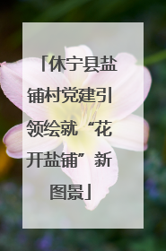 休宁县盐铺村党建引领绘就“花开盐铺”新图景