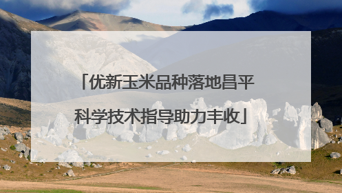 优新玉米品种落地昌平 科学技术指导助力丰收
