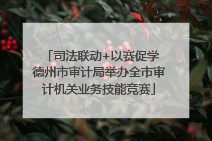 司法联动+以赛促学 德州市审计局举办全市审计机关业务技能竞赛