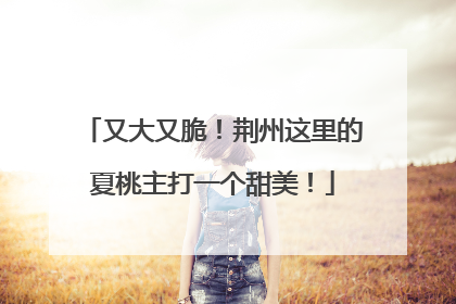 又大又脆！荆州这里的夏桃主打一个甜美！