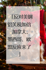 反对美钢铝关税加倍 加拿大、墨西哥、欧盟反应来了