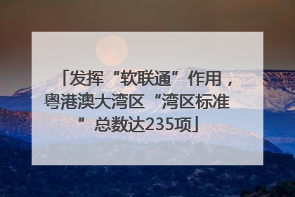 发挥“软联通”作用，粤港澳大湾区“湾区标准”总数达235项