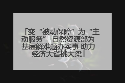 变“被动保障”为“主动服务” 自然资源部为基层解难题办实事 助力经济大省挑大梁