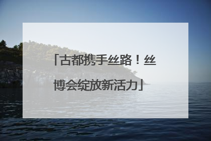 古都携手丝路！丝博会绽放新活力