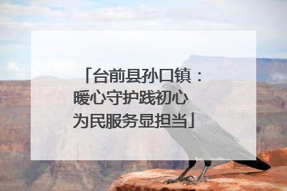 台前县孙口镇：暖心守护践初心 为民服务显担当
