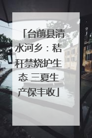 台前县清水河乡：秸秆禁烧护生态 三夏生产保丰收