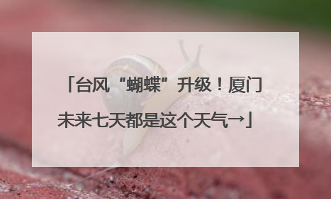 台风“蝴蝶”升级！厦门未来七天都是这个天气→