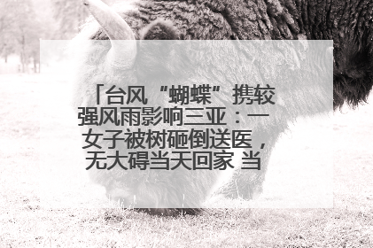 台风“蝴蝶”携较强风雨影响三亚：一女子被树砸倒送医，无大碍当天回家 当地已紧急清障