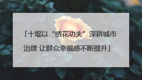 十堰以“绣花功夫”深耕城市治理 让群众幸福感不断提升